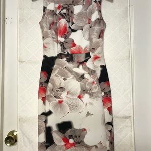 CALVIN KLEIN Body Con Floral Print Dress Size 2P